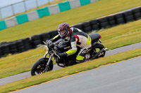 PJ-Motorsport-2019;anglesey-no-limits-trackday;anglesey-photographs;anglesey-trackday-photographs;enduro-digital-images;event-digital-images;eventdigitalimages;no-limits-trackdays;peter-wileman-photography;racing-digital-images;trac-mon;trackday-digital-images;trackday-photos;ty-croes